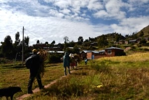 Lake Titicaca 2 days: Uros, Taquile and Luquina with an authentic local experience