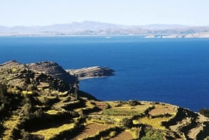 Visite d'une jounée du lac Titicaca, des Uros et de Taquile