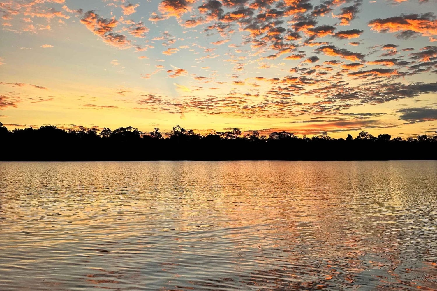 Leticia: 2-day, 1-night Jungle and River Safari with accommodation in a Floating House