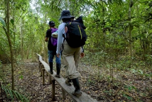 Leticia: 2-day, 1-night Jungle and River Safari with accommodation in a Floating House