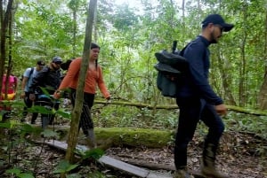 Leticia: 2-day, 1-night Jungle and River Safari with accommodation in a Floating House