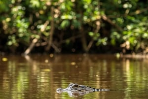 Leticia: 2 päivän ja 1 yön selva- ja jokisafari, majoitus kelluvassa talossa