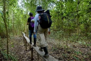 Leticia: 2 päivän ja 1 yön selva- ja jokisafari, majoitus kelluvassa talossa