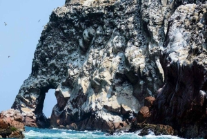 Lima: 1 giorno alle Ballestas e all'oasi di Huacachina con vino e dune