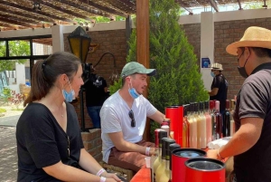 Lima: 1 giorno alle Ballestas e all'oasi di Huacachina con vino e dune