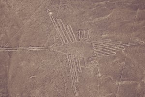 Lima: Tour di 2 giorni alle Isole Ballestas, ai vigneti, a Huacachina e alle linee di Nazca