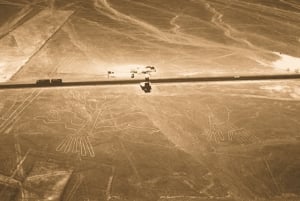 Lima: Tour di 2 giorni alle Isole Ballestas, ai vigneti, a Huacachina e alle linee di Nazca