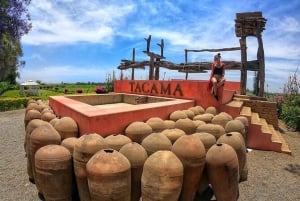 Lima: 2-dagars tur till Paracas, Huacachina och Pisco-vingårdarna