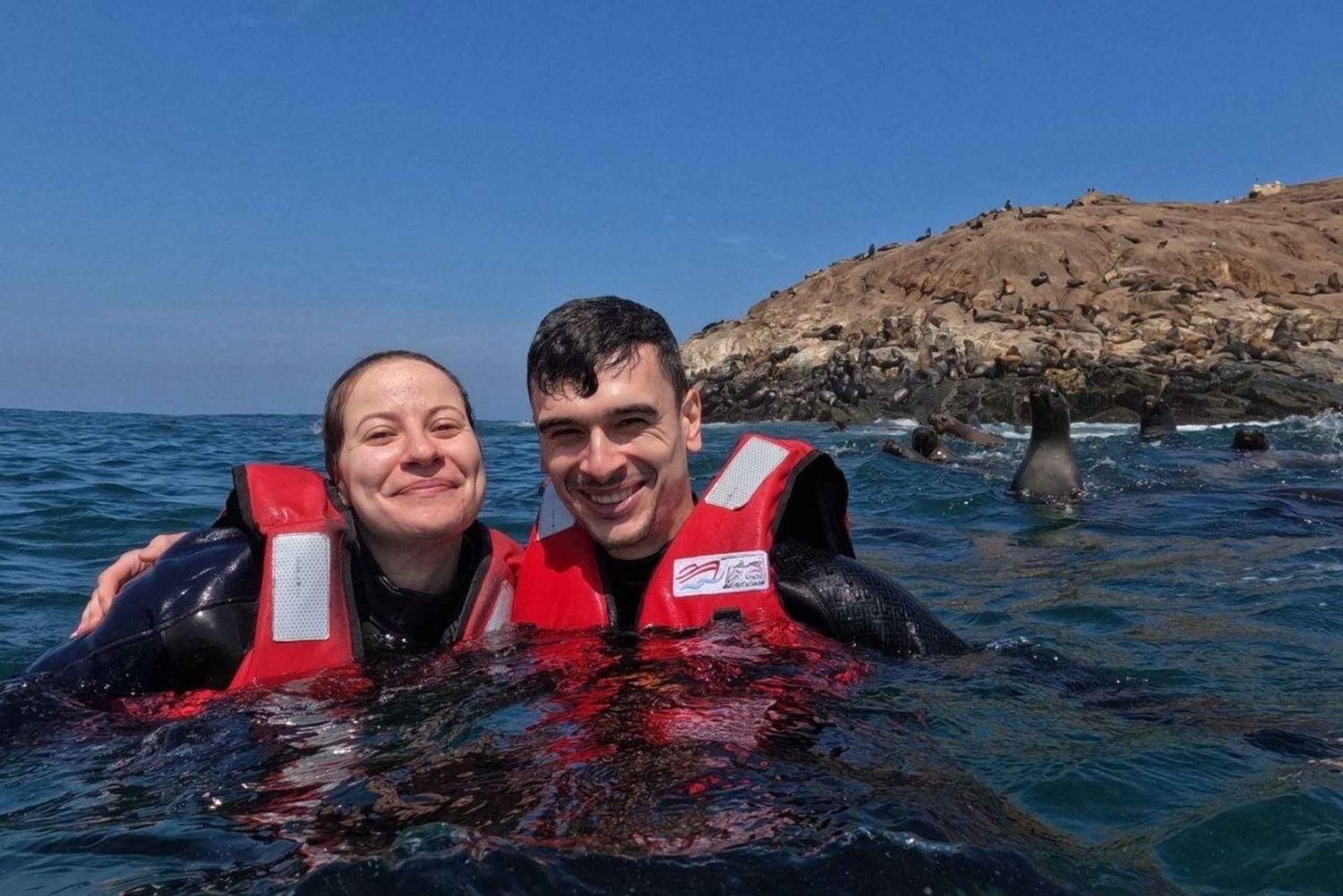 Lima: 2 Days: Palomino Island - Swim with Sea Lions + Huacachina All Inclusive