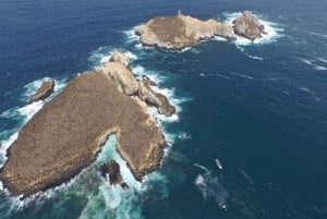 Lima: 2 Days: Palomino Island - Swim with Sea Lions + Huacachina All Inclusive