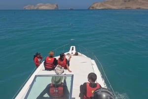 Lima: 2 Days: Palomino Island - Swim with Sea Lions + Huacachina All Inclusive