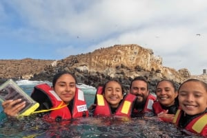 Lima: 2 Days: Palomino Island - Swim with Sea Lions + Huacachina All Inclusive