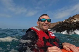 Lima: 2 Days: Palomino Island - Swim with Sea Lions + Huacachina All Inclusive