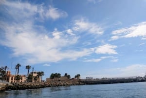 Lima: 2 Days: Palomino Island - Swim with Sea Lions + Huacachina All Inclusive