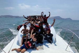 Lima: 2 Days: Palomino Island - Swim with Sea Lions + Huacachina All Inclusive