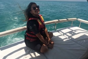 Lima: 2 Days: Palomino Island - Swim with Sea Lions + Huacachina All Inclusive