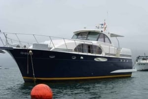 Lima: 2 Days: Palomino Island - Swim with Sea Lions + Huacachina All Inclusive