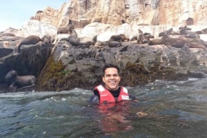 Lima: 2 Days: Palomino Island - Swim with Sea Lions + Huacachina All Inclusive