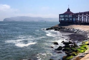 Lima: 2 Days: Palomino Island - Swim with Sea Lions + Huacachina All Inclusive