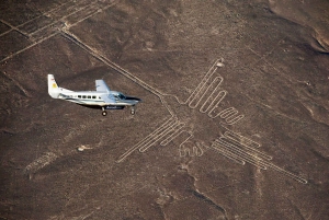 LIMA || 2D/1N: Paracas, Huacachina and Nazca.