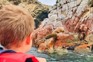 Lima: 3-Day Tour to Paracas, Huacachina & Pisco Vineyards