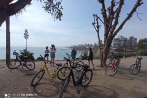 Lima: 4-Hour Bike Rental in Miraflores