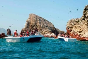 Lima: 7-Day Inca Tour with Flights and Machu Picchu