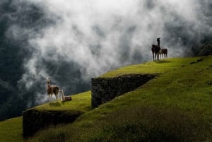 Lima: 7-Day Inca Tour with Flights and Machu Picchu