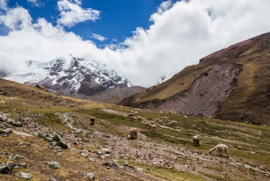 Lima: 7-Day Inca Tour with Flights and Machu Picchu