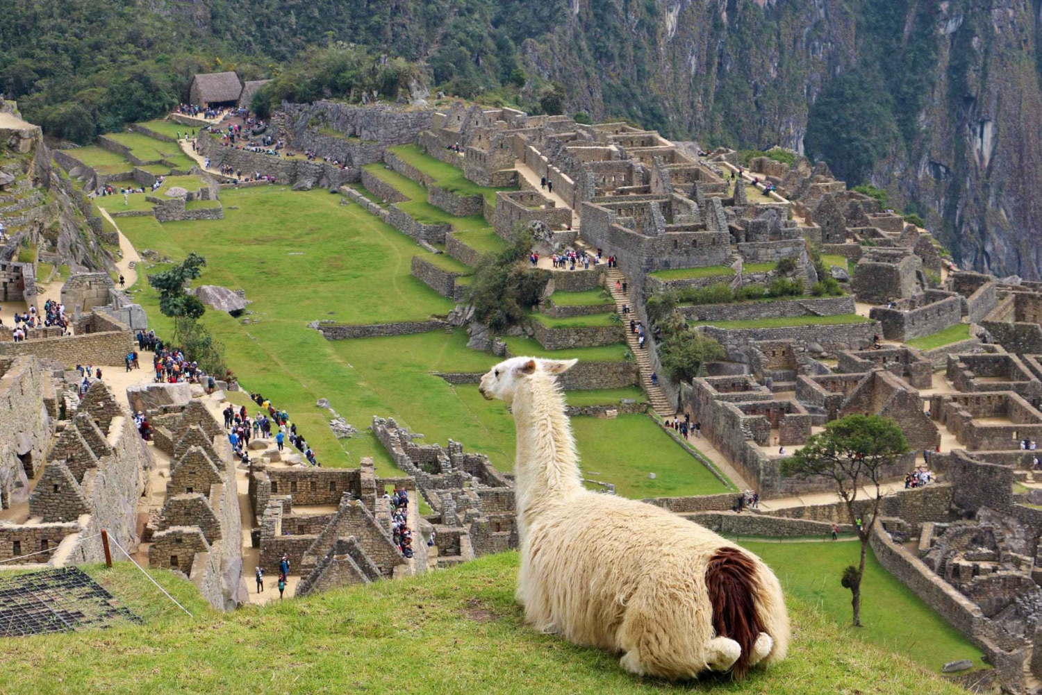 Lima: 9-dages Peru Express med Ica, Cusco og Puno