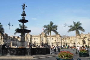Lima: 9-dages Peru Express med Ica, Cusco og Puno