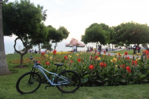 Lima: Afternoon city biking