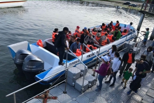Lima e Nasca : Linee Ballestas -Huacachina-Nasca