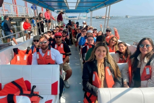 Lima e Nasca : Linee Ballestas -Huacachina-Nasca