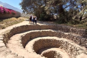 Lima e Nasca : Linee Ballestas -Huacachina-Nasca