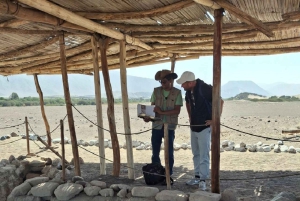 Lima e Nasca : Linee Ballestas -Huacachina-Nasca