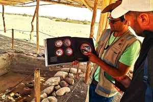 Lima e Nasca : Linee Ballestas -Huacachina-Nasca