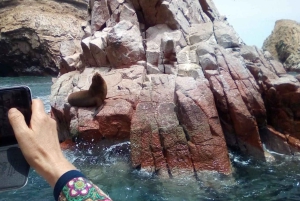 Lima and Nasca : Ballestas -Huacachina-Nasca Lines