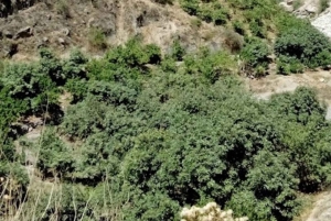 リマ：アウティシャ渓谷 + 懸垂下降 + シェケ地下滝