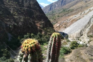 リマ：アウティシャ渓谷 + 懸垂下降 + シェケ地下滝