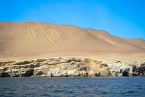 Lima : Excursion d'une journée à Ballestas et Huacachina avec vol sur les lignes de Nazca