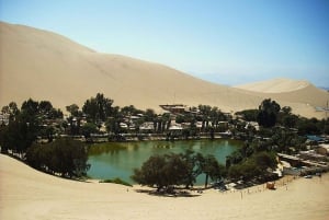 Lima: excursión de un día a Ballestas y Huacachina con vuelo a las Líneas de Nazca