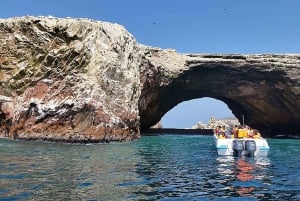 Lima: Ballestas & Huacachina Day Trip w/ Nazca Lines Flight