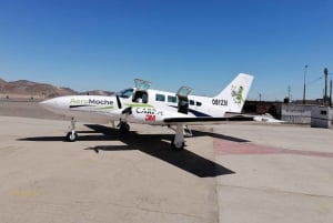 Lima: Ballestas & Huacachina Day Trip w/ Nazca Lines Flight