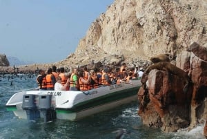 Lima: Paracas, Ilha Ballestas e Excursão de 1 dia ao Túnel dos Escravos