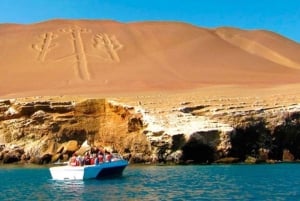 Lima: Paracas, Ilha Ballestas e Excursão de 1 dia ao Túnel dos Escravos