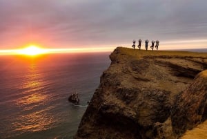 Lima: Paracas, Ilha Ballestas e Excursão de 1 dia ao Túnel dos Escravos
