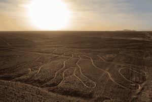 Lima: tour delle isole Ballestas, delle linee di Nazca e di Huacachina