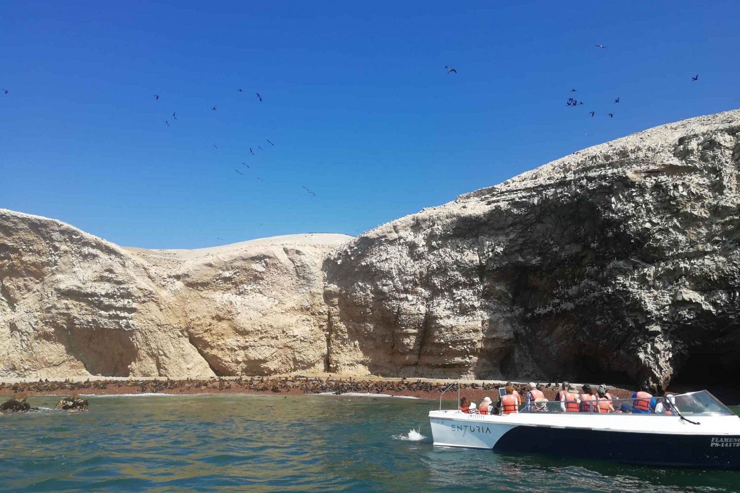 Lima: Ballestas Islands, Winery and Nazca Lines Private Tour