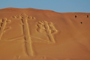Lima: Ballestas Islands, Winery and Nazca Lines Private Tour